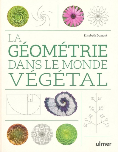 La géométrie dans le monde végétal